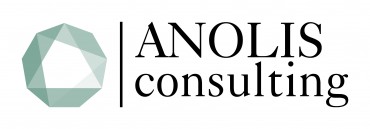 Optimisez la gestion de vos actifs immobiliers avec ANOLIS Consulting !